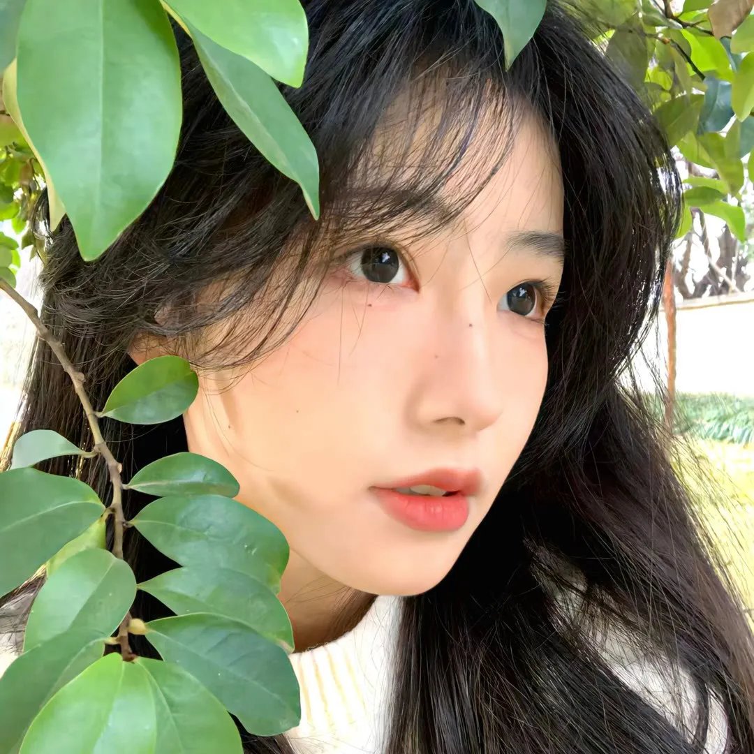 七先生与哑巴花